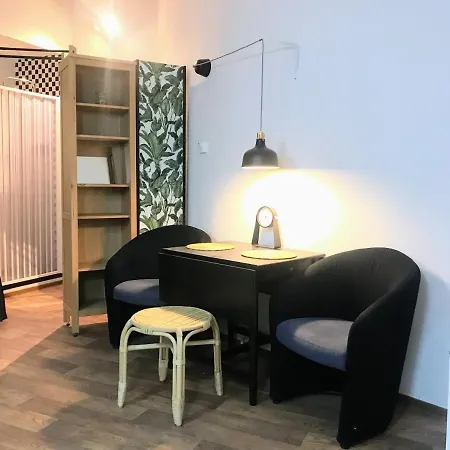 Apartment Fun Tiki Vibe / Charles Bridge / Netflix Prag