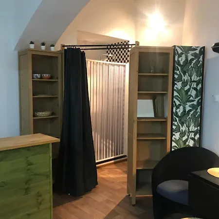 Apartment Fun Tiki Vibe / Charles Bridge / Netflix Prag
