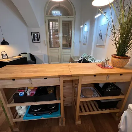 Apartment Fun Tiki Vibe / Charles Bridge / Netflix